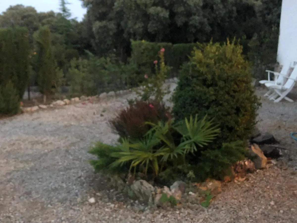 La Roureda Hostal Àger